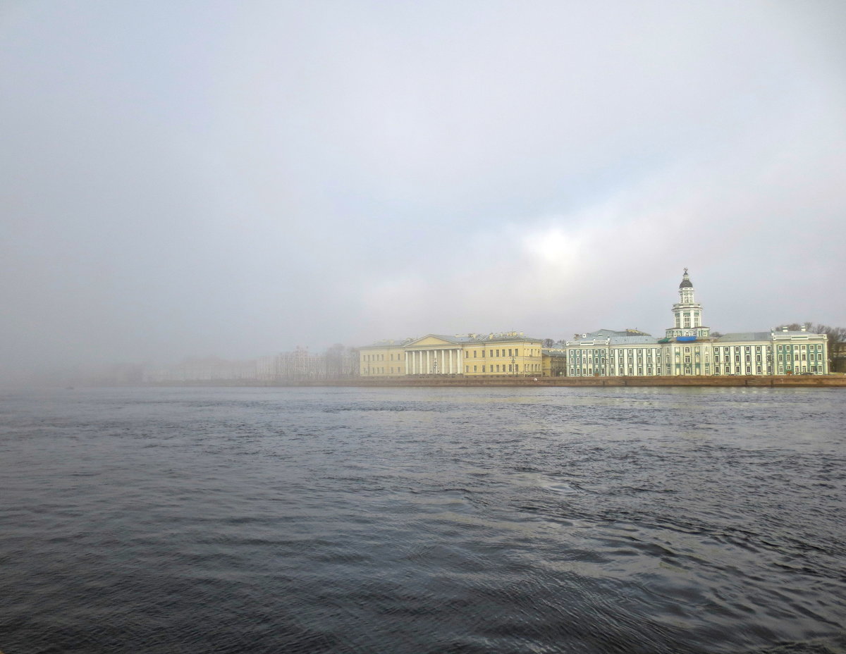 университетская набережная в санкт петербурге фото