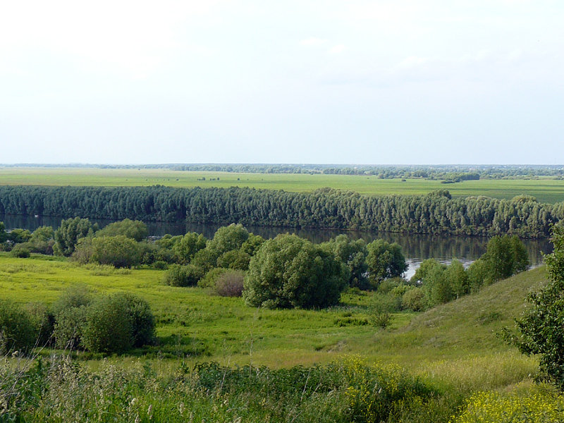 вид на реку фото
