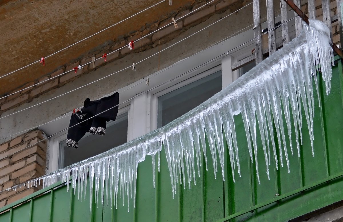 �������� ���� ����� ������ - 3