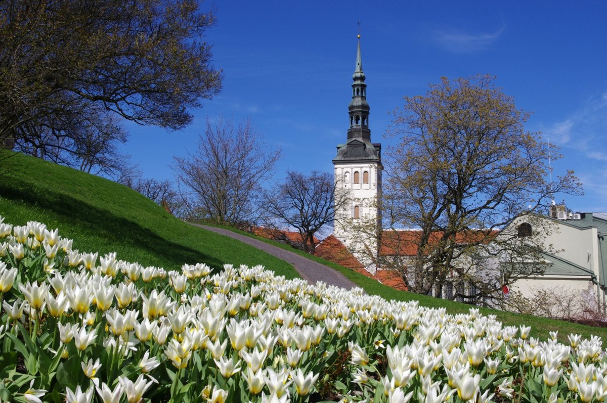 Эстония цветы