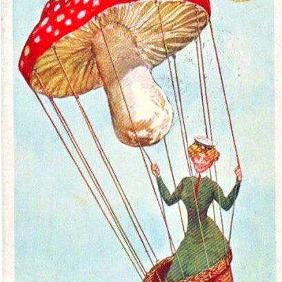 первый парашют фото