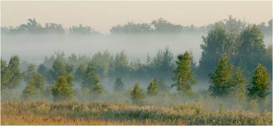 дымка туман фото