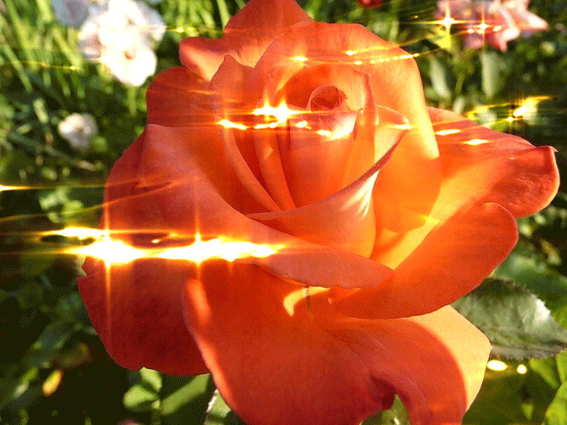 �������� � ����� ��� ������� �����, ��� �������