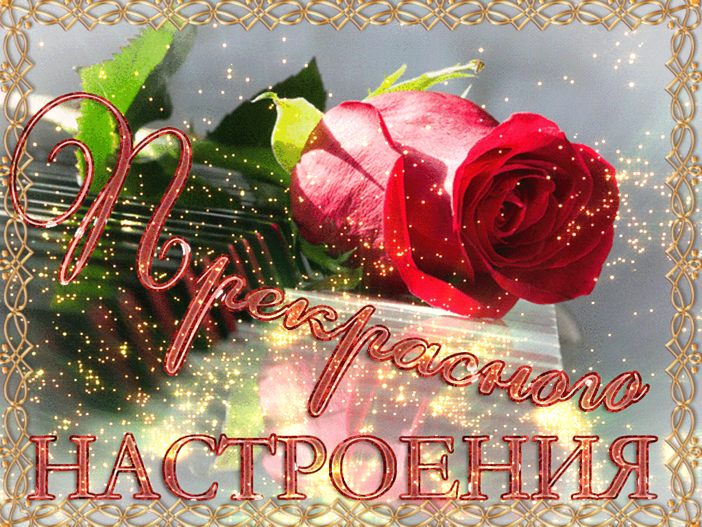 ����������� �������� � �����������, ��� ������������ ��������