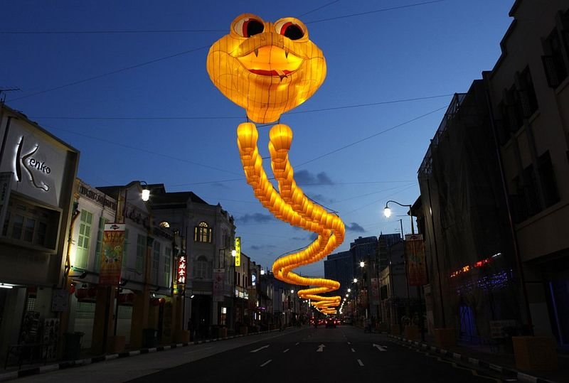 snake lantern фото