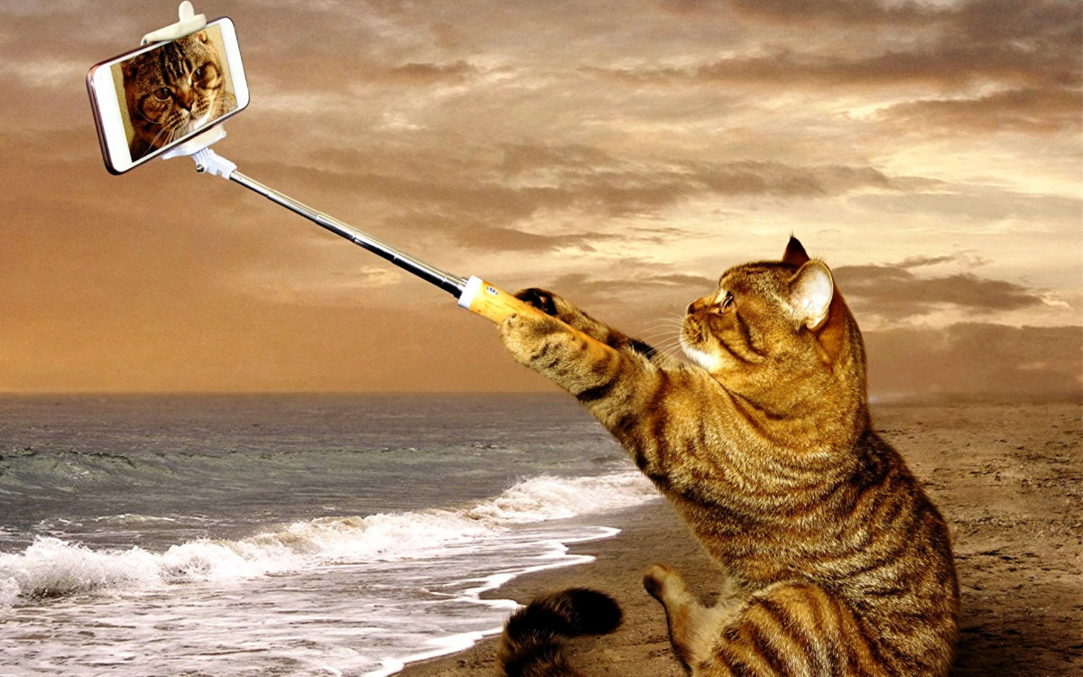 ������ ������ ����� � ������� �����