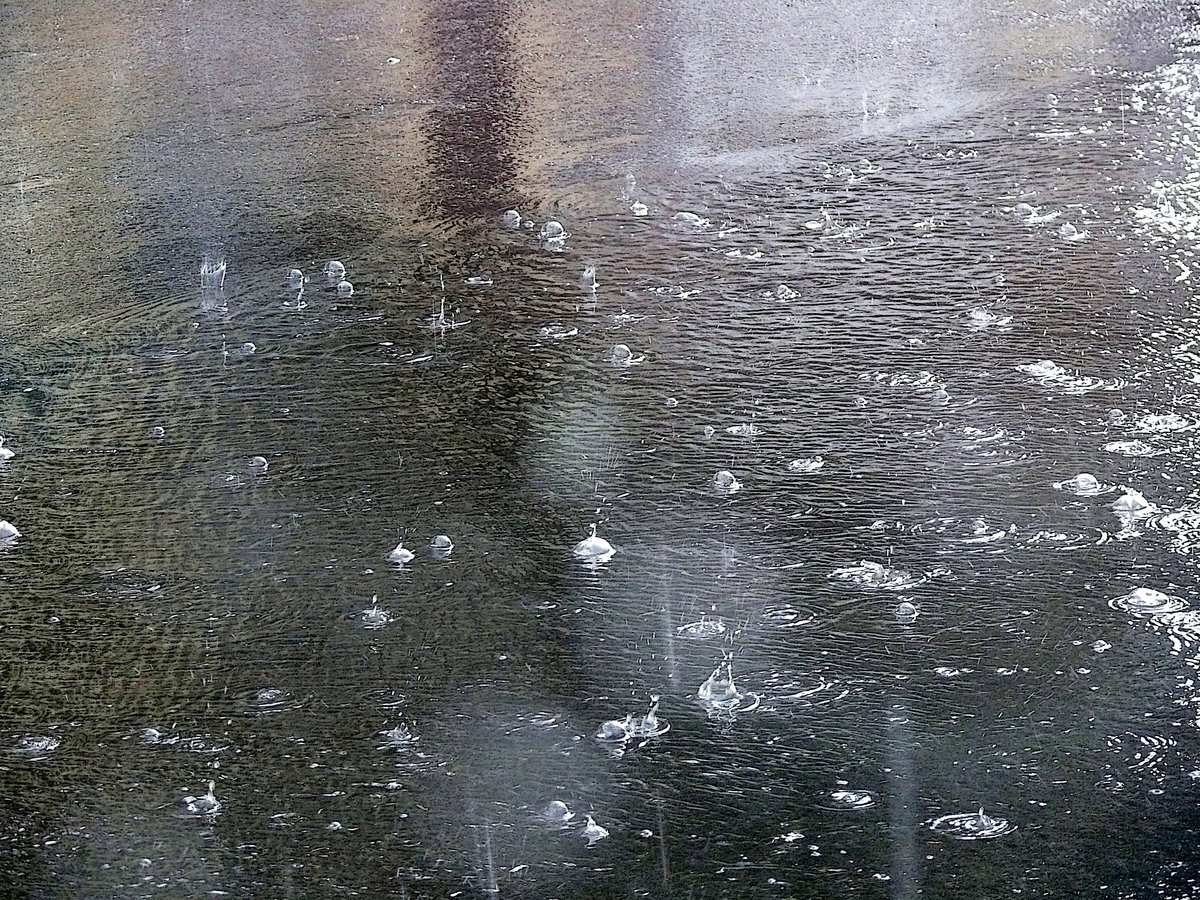 Алексей котлов дождик капает по лужам