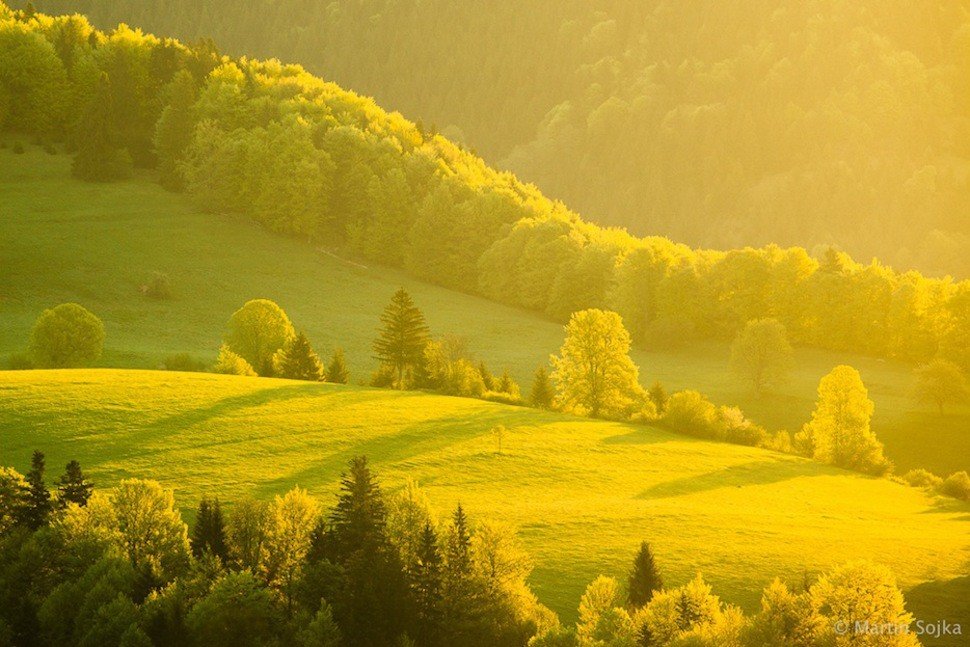 картина пейзаж фото