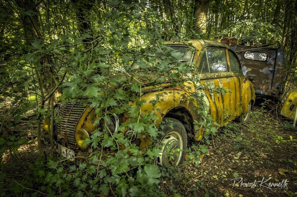 заброшенные автомобили фото