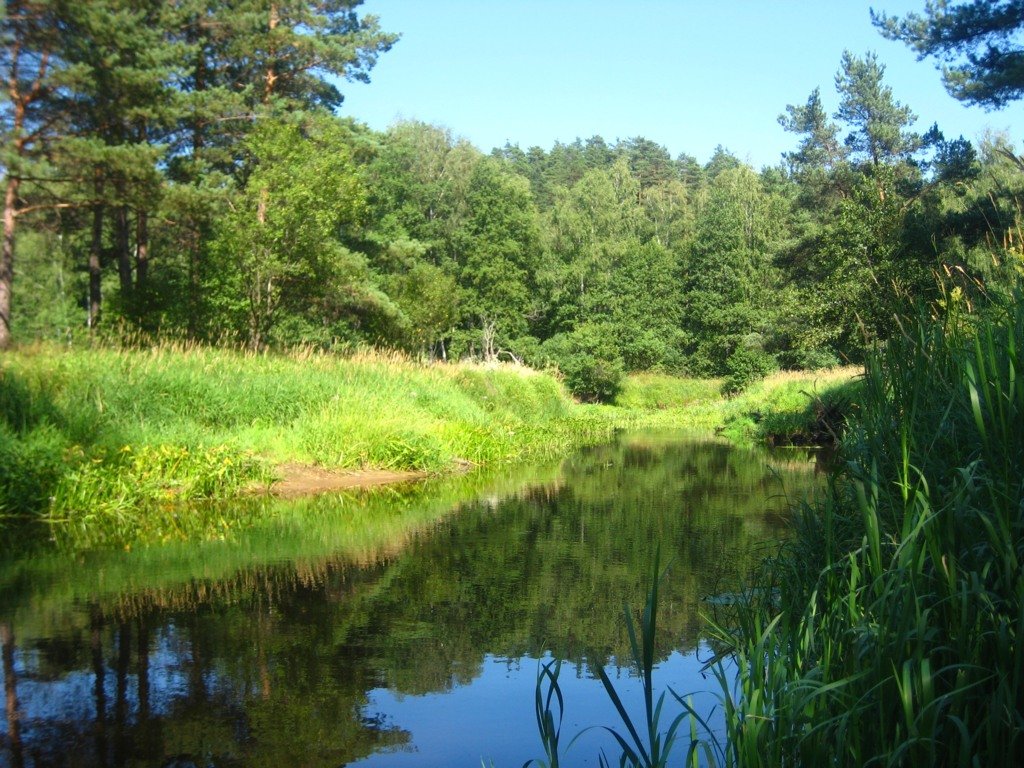 реки фото