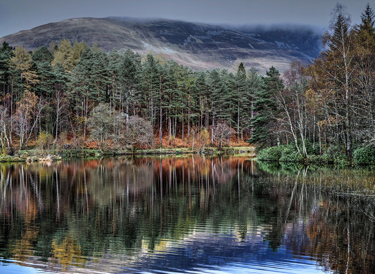 Шотландия Glencoe Lochan Природа Леса Озеро