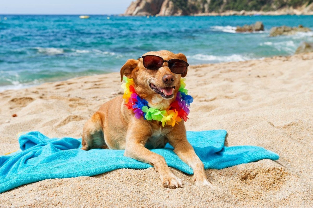 ������, ������� �������� ��� ����� � ���������