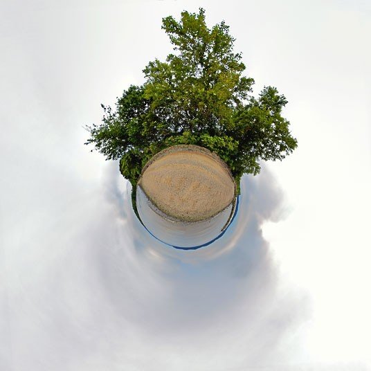 левитирующий горшок leplant wood фото