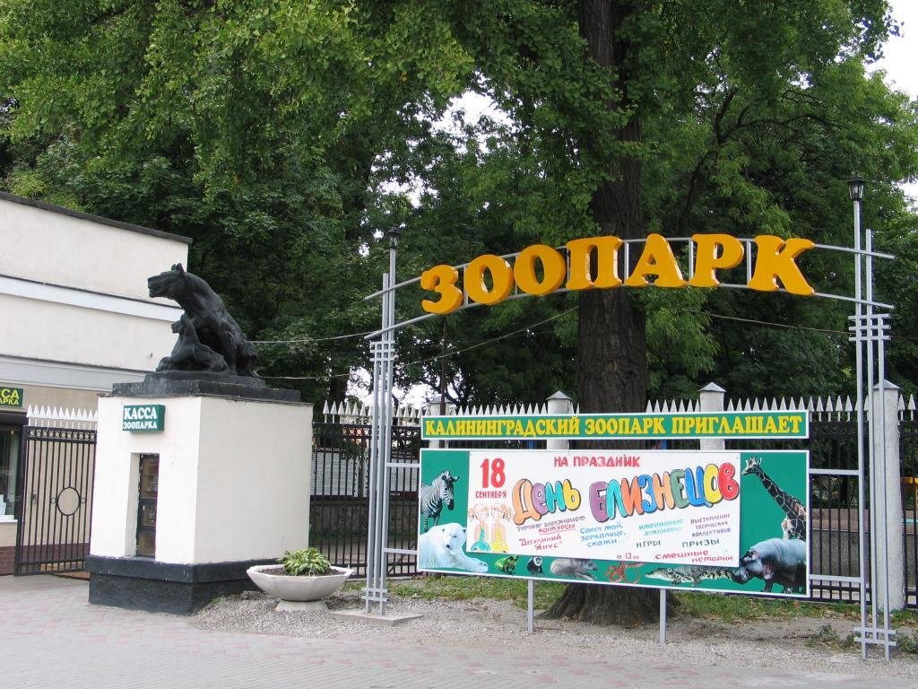 калининградский зоопарк калининград фото