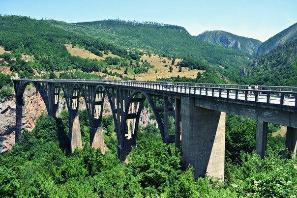 Мост Джурджевича фото