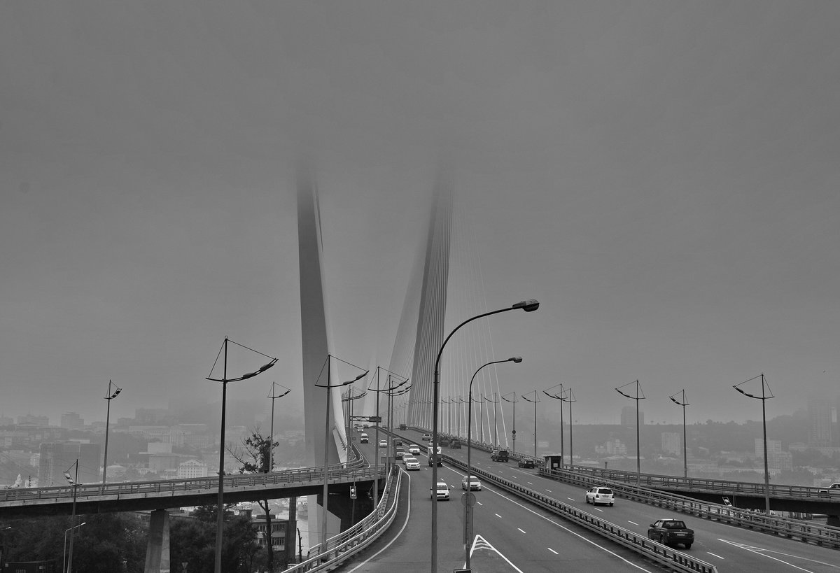золотой мост владивосток фото