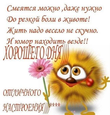 Смешные картинки &amp;amp;quot;Хорошего дня!&amp;amp;quot; (34 фото) • Прикольные картинки и юмор-  oformikrasivo.ru