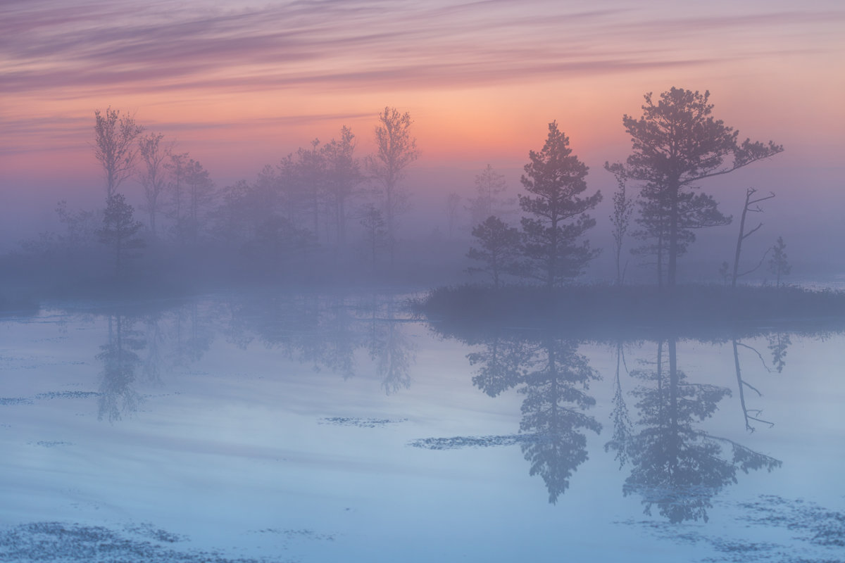 карелия туман фото