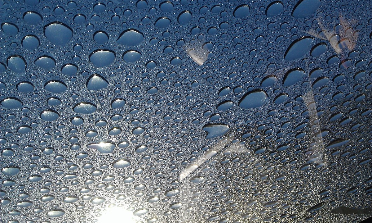 �������� ����� �� ������