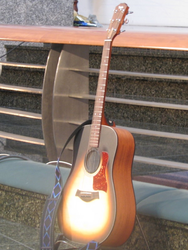 гитары акустические takamine фото