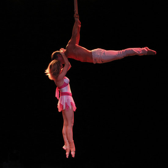 acrobat 7 фото