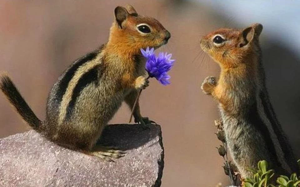 ������� �������� � �����