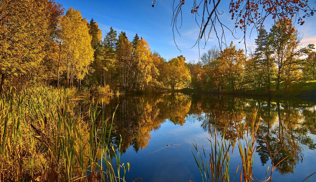 осень река лес озеро фото