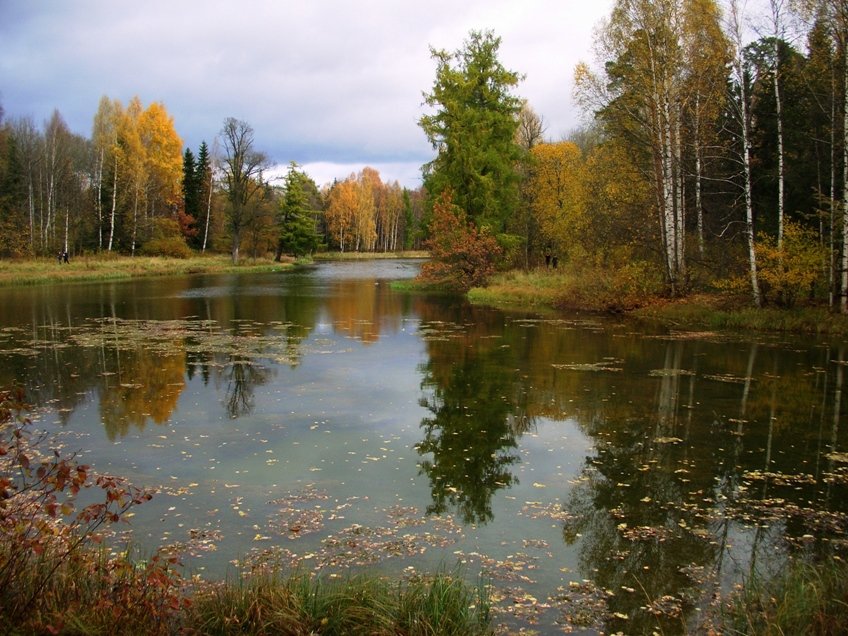 абрамцево осенью фото