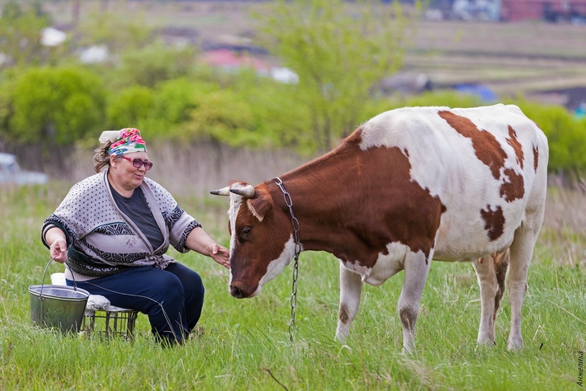 smotret-onlayn-doyarki-pod-doyarami