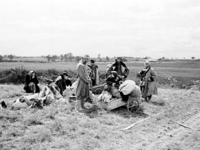 "лето 1941 года" аркадия пластова фото