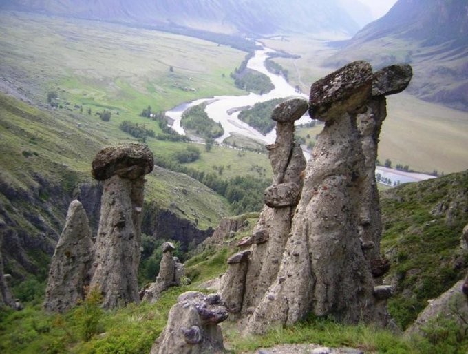 долина чулышмана каменные грибы фото