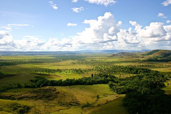 саванны льянос фото