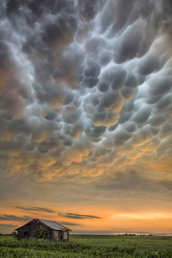 облака mammatus фото