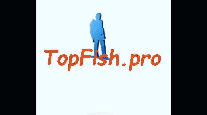   fishhungry    