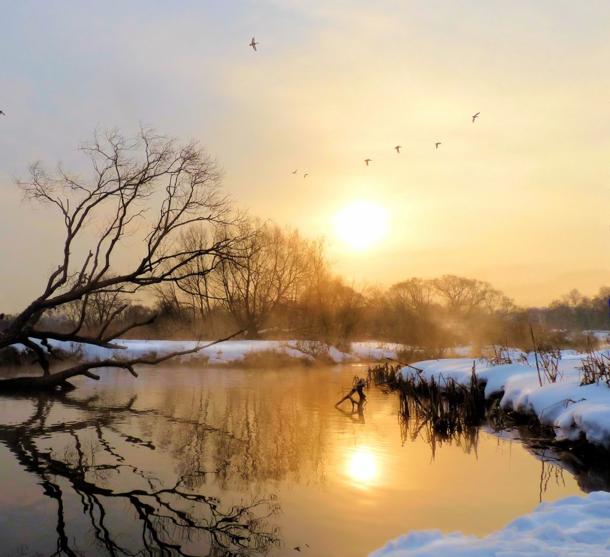 Весенний рассвет картинки