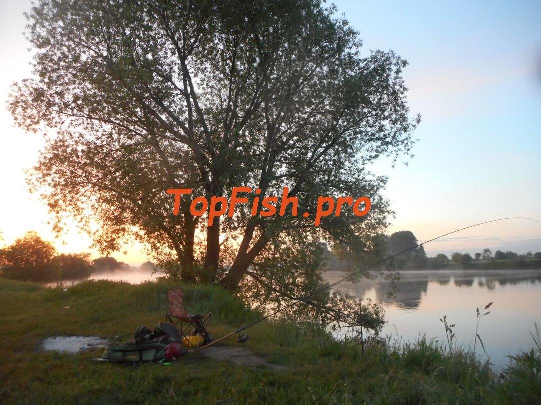 рыбалка фото