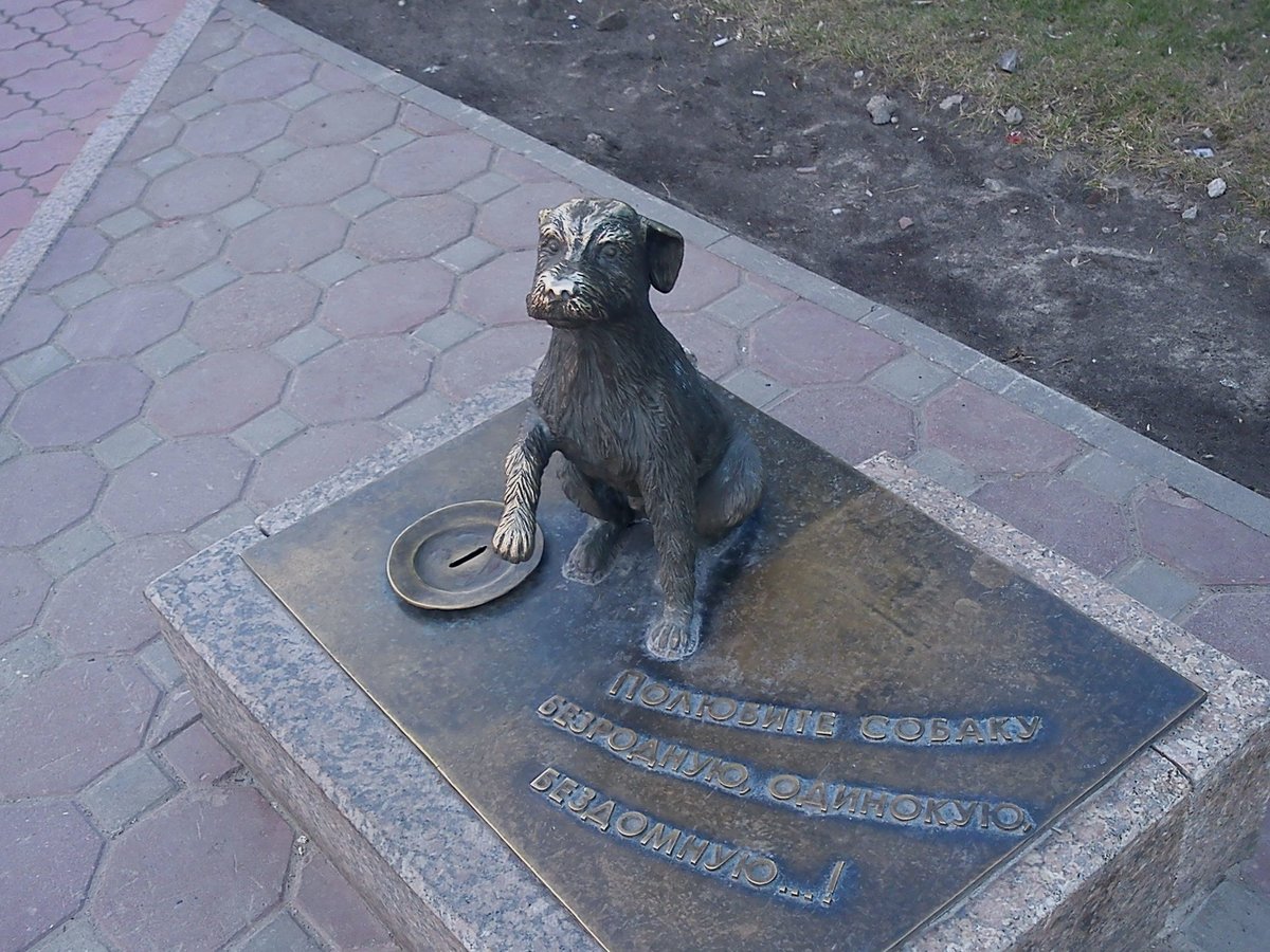 памятник бездомной собаке в тюмени фото