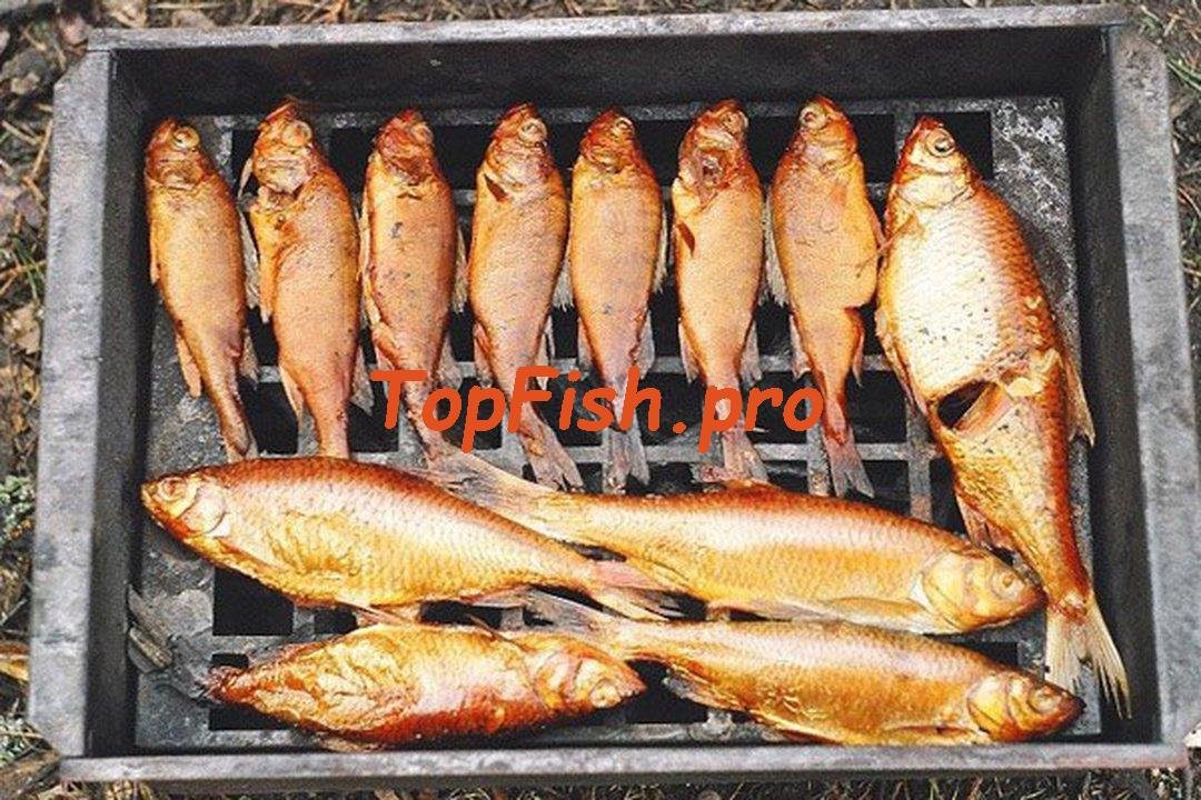 горячее копчение рыбы фото