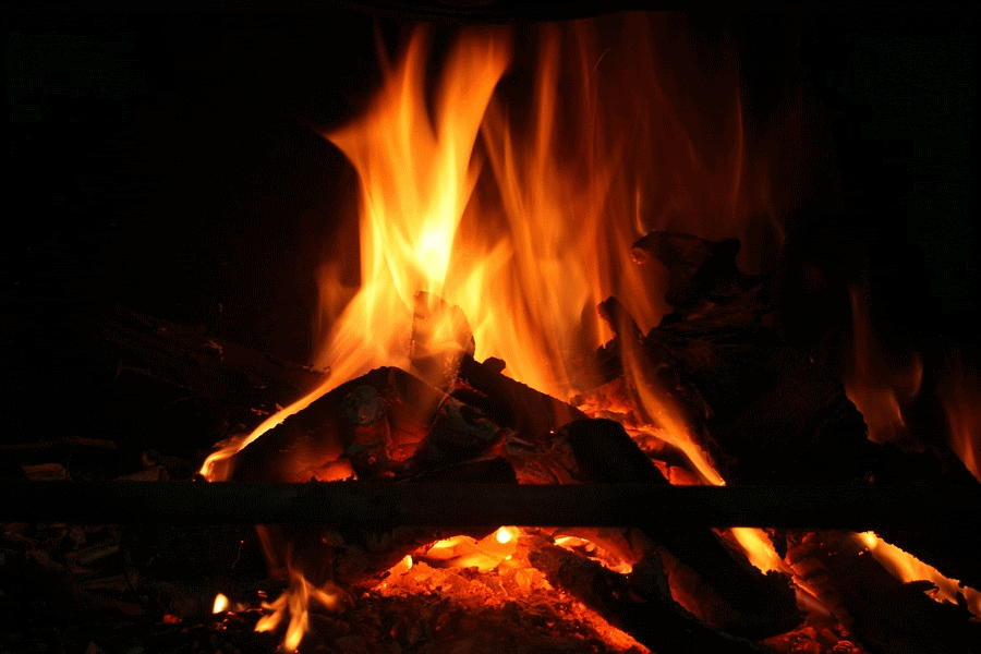 ����� �������� ��������, ������������