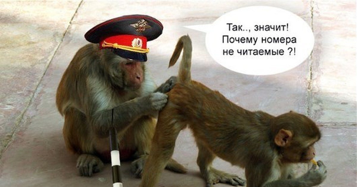 ������� � ������� �������� � ���������