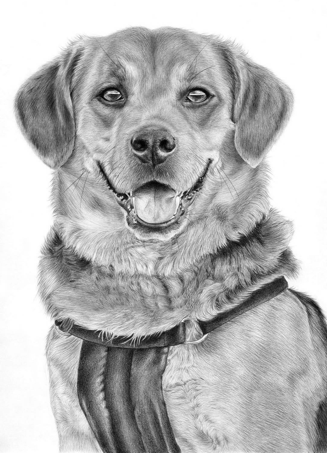 ������� ������� ���������� �������� ������, �������� ������