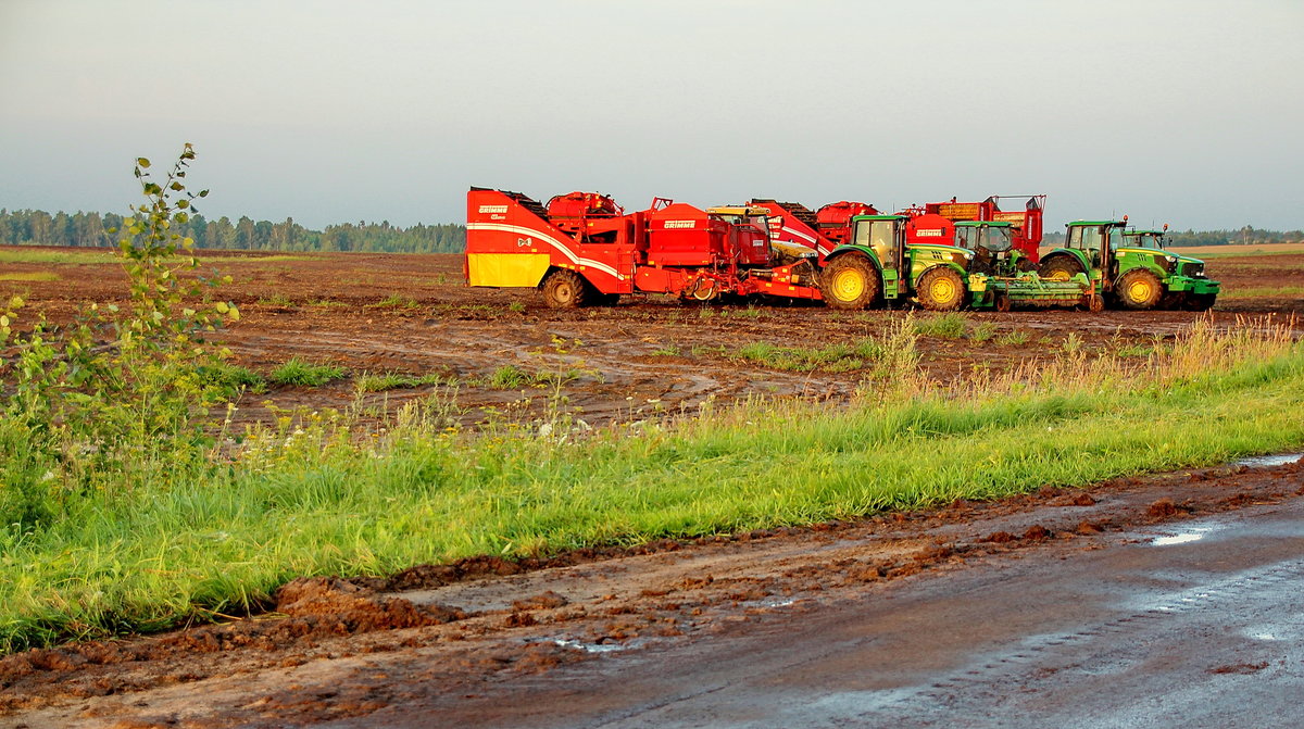комбайн grimme sv 260 фото