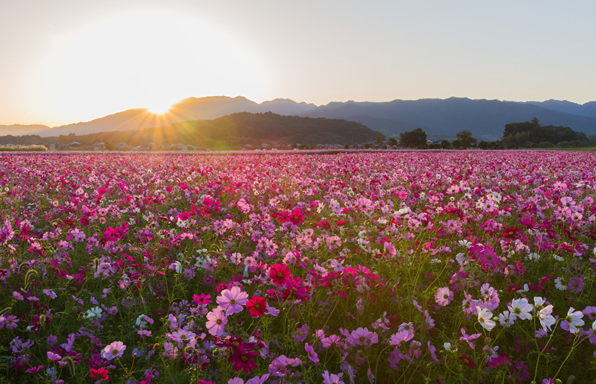 �������� �������� ���� � �������