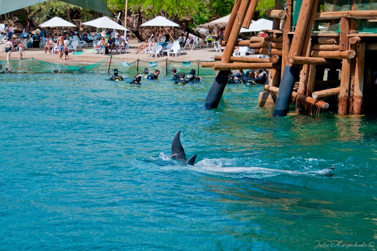 ���������� ���� ��������� ��� ���� ����