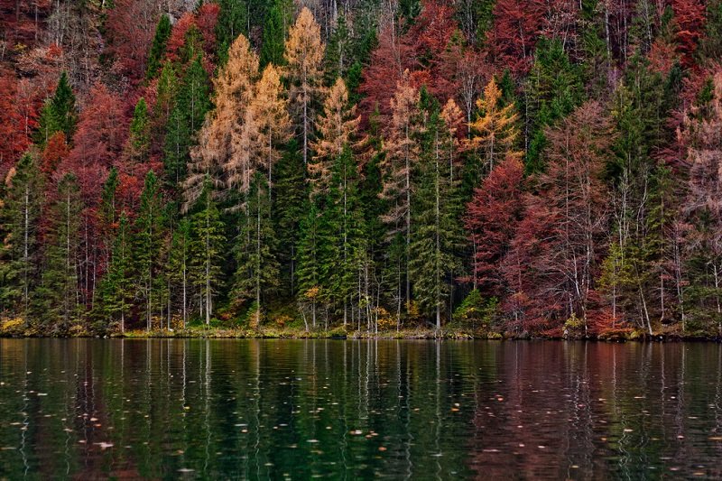 красное озеро румыния фото