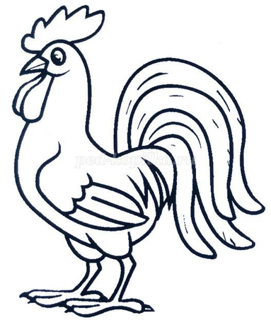 ������� ������� ��� ��������, ������ �������� ��������������