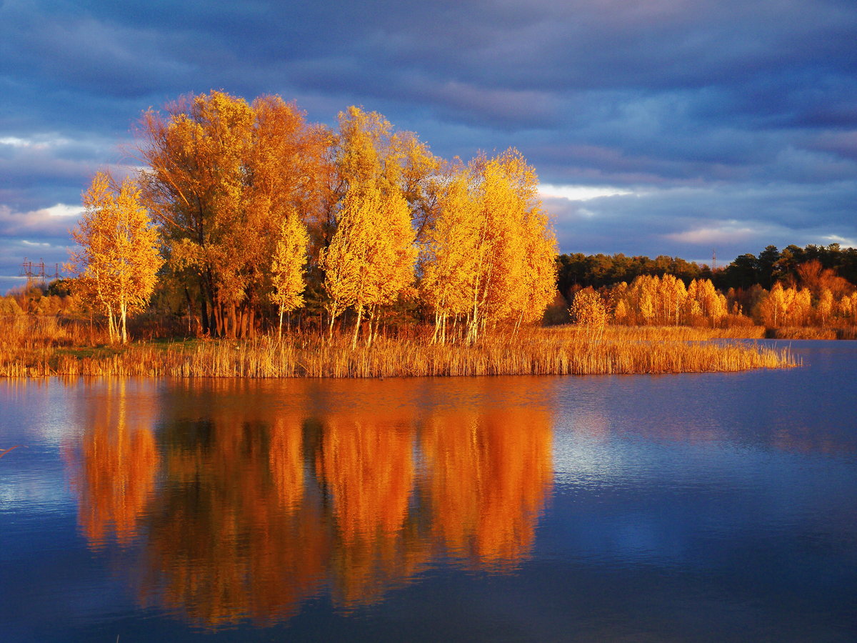 Золото вечерний осени
#деревья #золото #конкурс #листва #озеро #осень