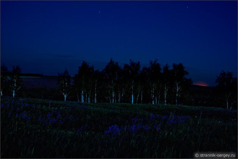 летней ночи фото