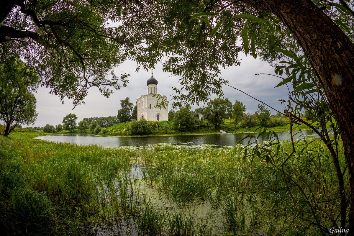 покров на нерли храм фото
