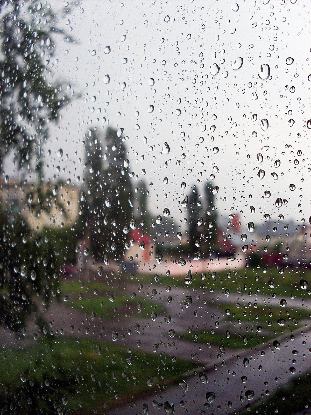 ���� �� ����� ����� ������������� ������ �����